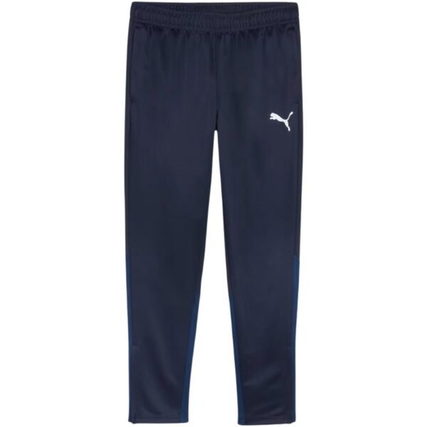 Puma Team Goal Training Pants M 658639 06