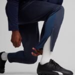 Puma Team Goal Training 6