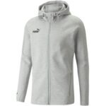 Puma Men's Hooded Sweatshirt