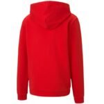 Puma teamGOAL 23 Casuals 2