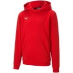 Puma teamGOAL 23 Casuals 3
