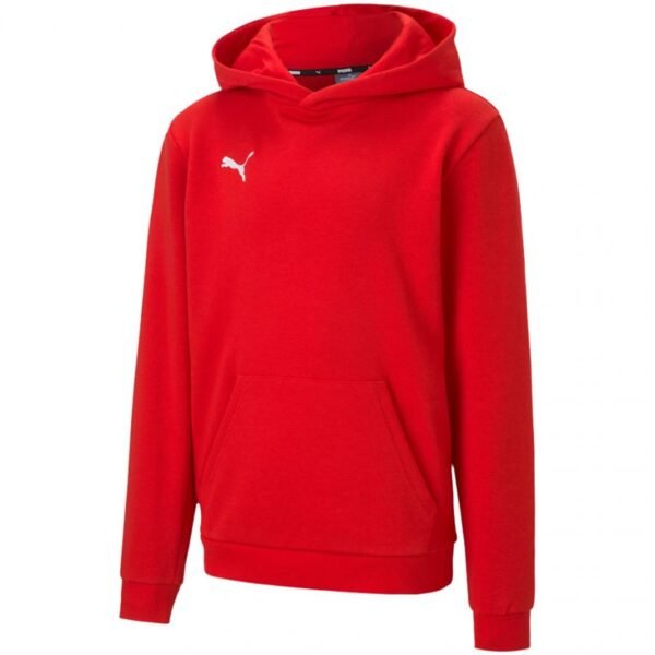 Puma teamGOAL 23 Casuals
