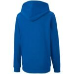 Puma teamGOAL 23 Casuals 4