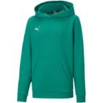 Puma teamGOAL 23 Casuals 3
