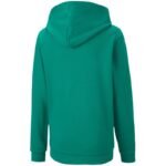 Puma teamGOAL 23 Casuals 4