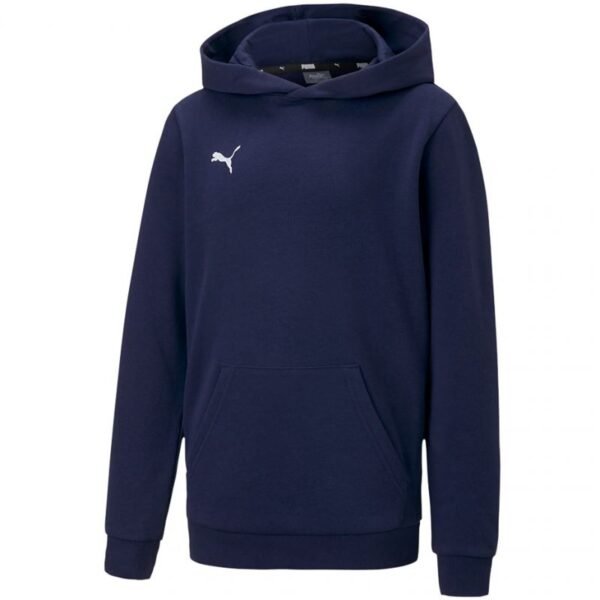 Puma teamGOAL 23 Casuals