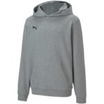 Puma teamGOAL 23 Casuals 3