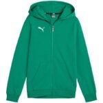 Puma teamGoal Casuals Hooded Kids Sweatshirt Green 658596 05