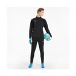 Puma teamLiga Training M 657242-03 pants - Image 2
