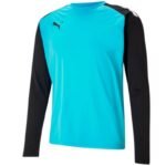 Puma teamPACER GK LS goalkeeper sweatshirt M 704933 40