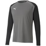 Puma teamPacer GK LS goalkeeper sweatshirt M 704933 43