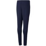 Puma teamRISE Poly Training Pants Junior 657391 06 - Image 2