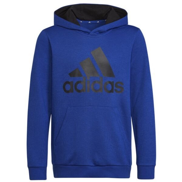 Adidas Big Logo Essentials Hoody Jr HN1912 sweatshirt