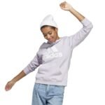 Adidas Big Logo FT R HD W IC6899 sweatshirt - Image 4