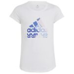 adidas Big Logo GT Jr T-shirt IB9162 - Image 2