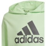 Adidas Big Logo Hoodie Jr IS2591 sweatshirt - Image 3