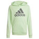 Adidas Big Logo Hoodie Jr IS2591 sweatshirt - Image 4