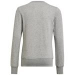Adidas Big Logo Swt Jr HM8706 sweatshirt - Image 2