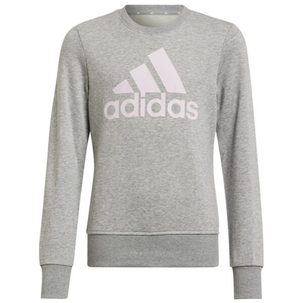 Adidas Big Logo Swt Jr HM8706 sweatshirt