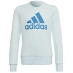 Adidas Big Logo Swt Jr HM8707 sweatshirt - Image 6