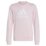 Adidas Big Logo Swt Jr IC6119 sweatshirt