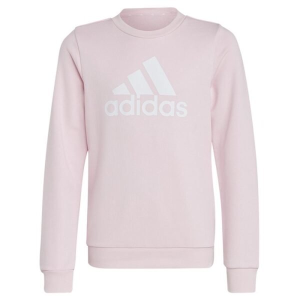 Adidas Big Logo Swt Jr IC6119 sweatshirt