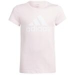 adidas Big Logo Tee Jr IC6123 - Image 3