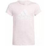 adidas Big Logo Tee Jr IC6123