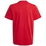 adidas Big Logo Tee Jr IJ6262 - Image 2