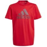adidas Big Logo Tee Jr IJ6262 - Image 5