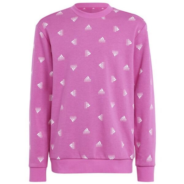 Adidas Bluv Swt Jr IC5573 sweatshirt