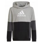 Adidas Colourblock Hoodie Jr HN8563 sweatshirt