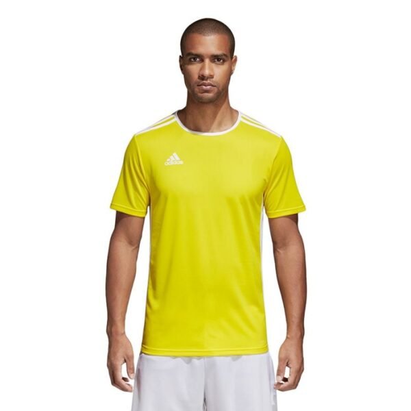 adidas Entrada 18 CD8390 football shirt
