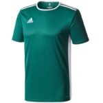 adidas Entrada 18 Jr T-shirt CD8358