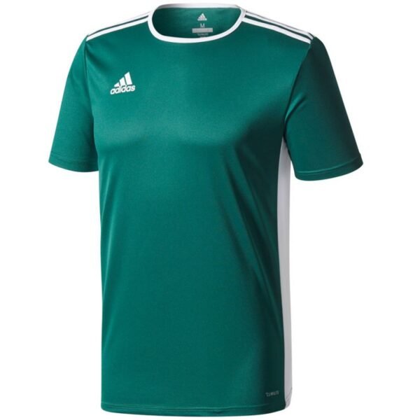 adidas Entrada 18 Jr T-shirt CD8358