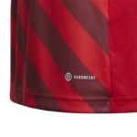 adidas Entrada 22 Graphic Jersey Jr H58983 - Image 6