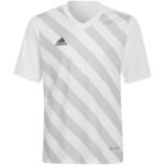 adidas Entrada 22 Graphic Jersey Jr HF0120 - Image 2