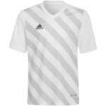 adidas Entrada 22 Graphic Jersey Jr HF0120 - Image 7