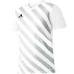 adidas Entrada 22 Graphic Jersey Jr HF0120