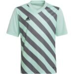 adidas Entrada 22 Graphic Jersey Jr HF0127 - Image 2