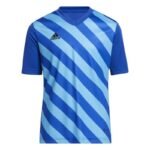 adidas Entrada 22 Graphic Jersey Jr HF0130 - Image 2