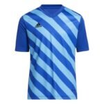adidas Entrada 22 Graphic Jersey Jr HF0130 - Image 7