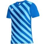 adidas Entrada 22 Graphic Jersey Jr HF0130