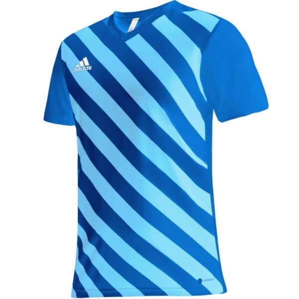 adidas Entrada 22 Graphic Jersey Jr HF0130
