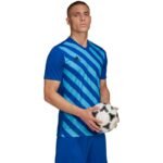 adidas Entrada 22 Graphic Jersey M HF0116 - Image 6