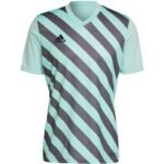 adidas Entrada 22 Graphic Jersey M HF0119 - Image 2