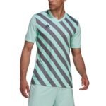 adidas Entrada 22 Graphic Jersey M HF0119 - Image 4