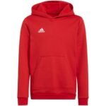 Adidas Entrada 22 Hoody Jr sweatshirt H57566