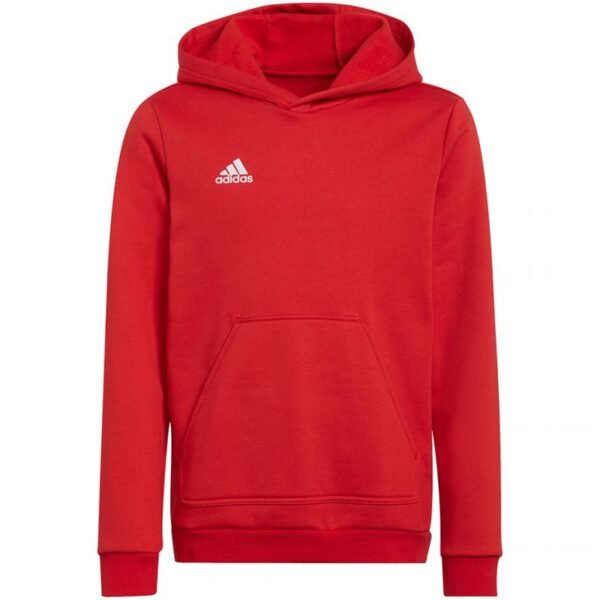 Adidas Entrada 22 Hoody Jr sweatshirt H57566