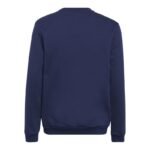 Adidas Entrada 22 Hoody Jr Sweatshirt H57568 - Image 2